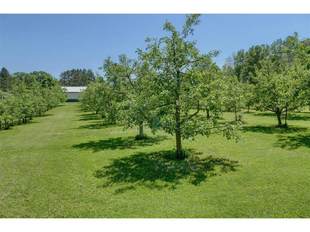 654 115th Street Lincoln Twp WI 54001 7103793 image80