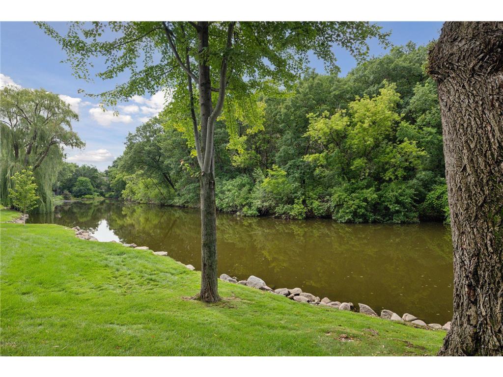 6545 Mccauley Trail W Edina MN 55439 7006616 image4