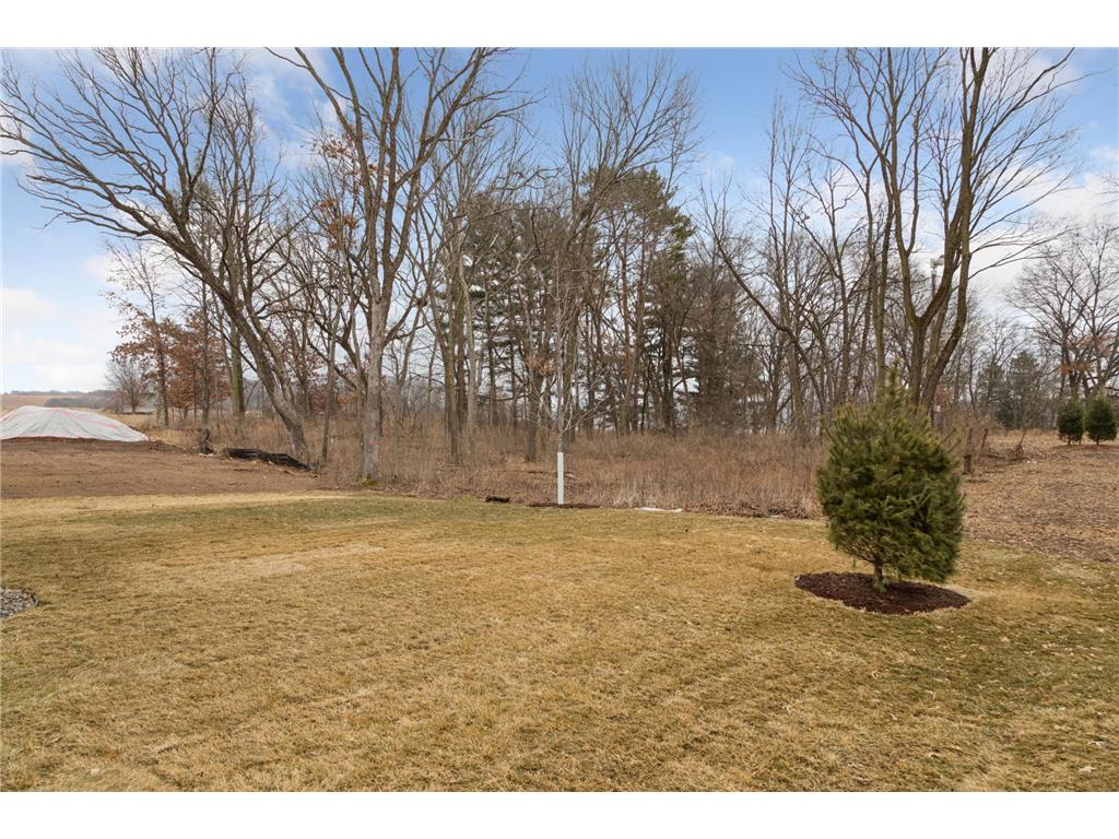 6547 108th Street S Cottage Grove MN 55016 - Mississippi 7005491 image46
