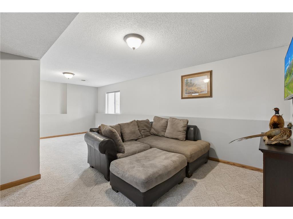 655 6th Street SE Cokato MN 55321 7046399 image18