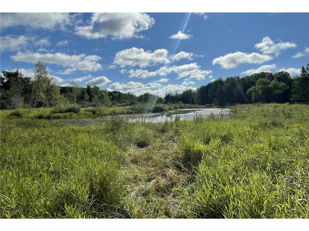 6552 Austin Road Baxter MN 56425 6809022 image7