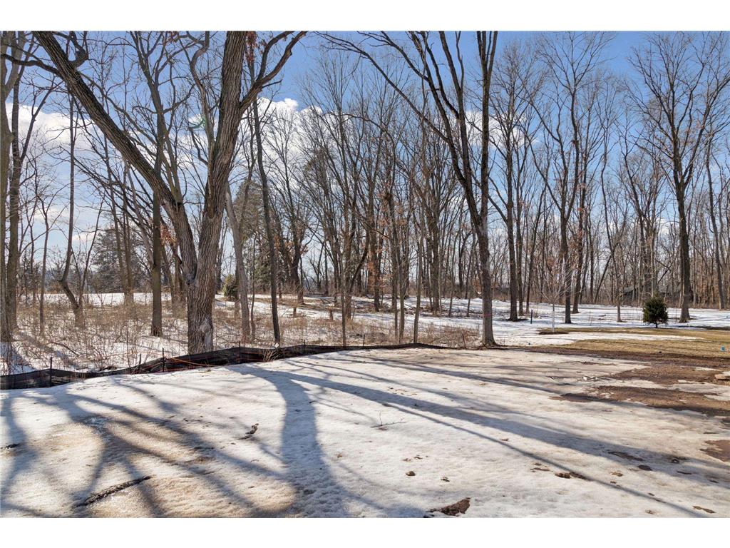 6555 108th Street S Cottage Grove MN 55016 6762121 image71