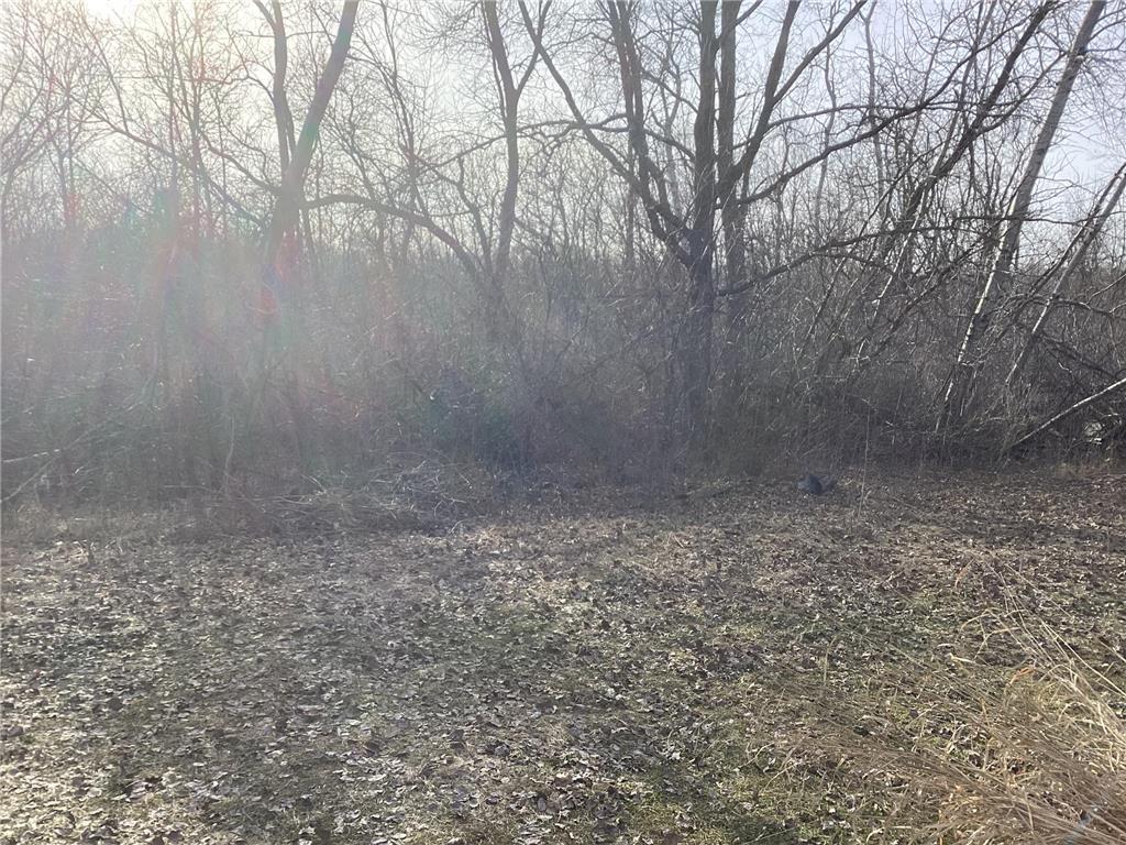 6560 County Road 11 NW Carlos Twp MN 56308 7046589 image43