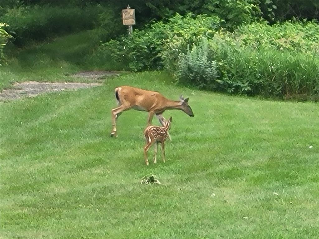 6560 Norris Lake Road NW Nowthen MN 55330 - Pinnaker 7079666 image73
