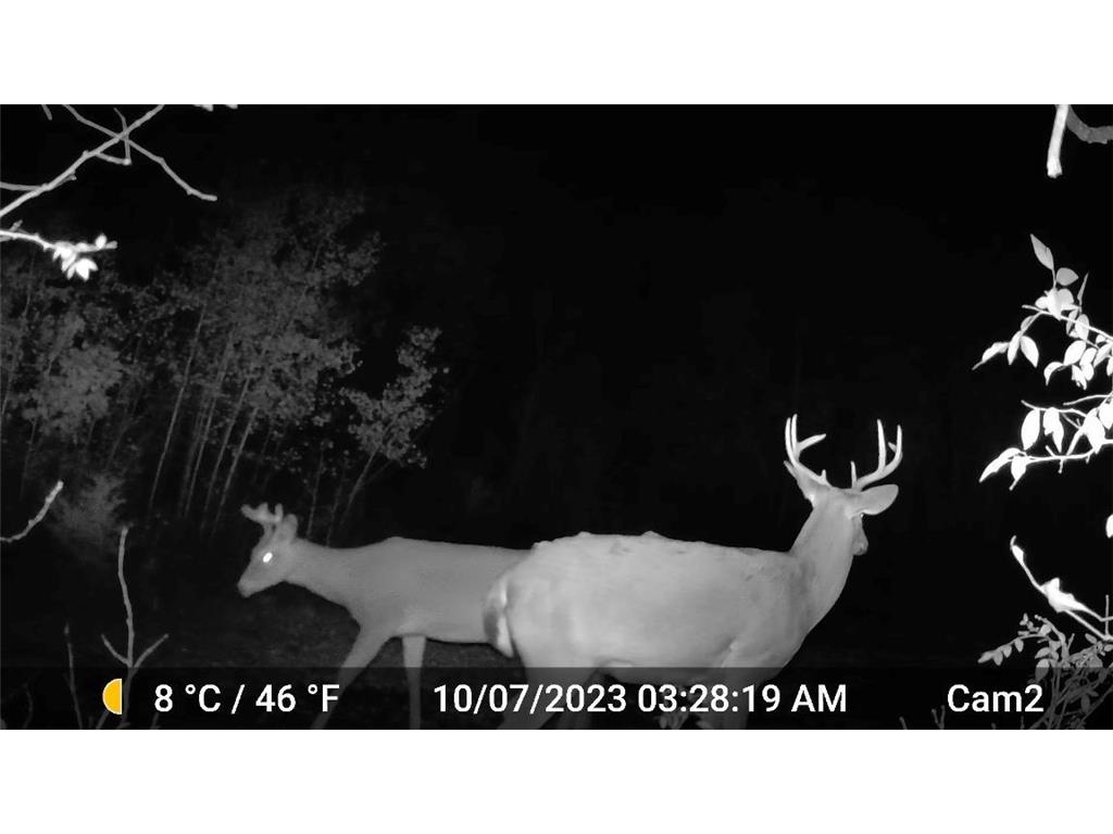6560 Norris Lake Road NW Nowthen MN 55330 - Pinnaker 7079666 image81