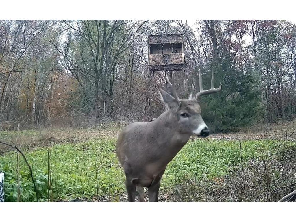 6560 Norris Lake Road NW Nowthen MN 55330 - Pinnaker 7079666 image82