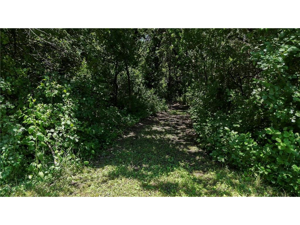 6565 165th Avenue NW Arctander Twp MN 56273 - Mary Lake 7101383 image33
