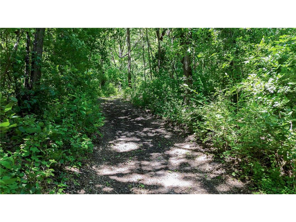 6565 165th Avenue NW Arctander Twp MN 56273 - Mary Lake 7101383 image34