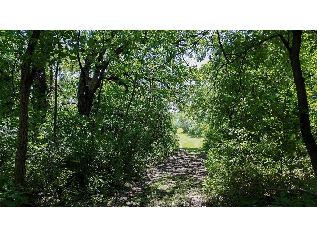 6565 165th Avenue NW Arctander Twp MN 56273 - Mary Lake 7101383 image35