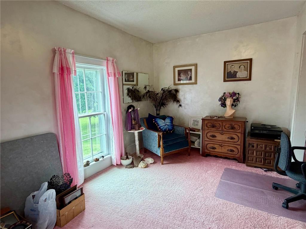 6565 165th Avenue NW Arctander Twp MN 56273 - Mary Lake 7101383 image39
