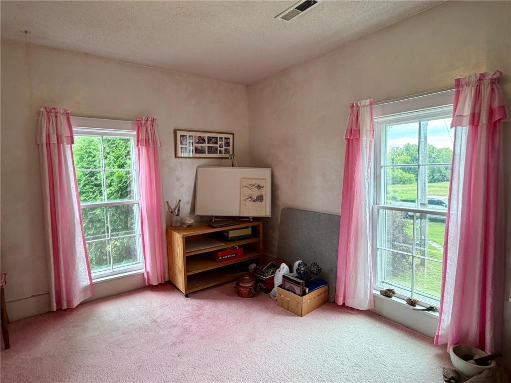 6565 165th Avenue NW Arctander Twp MN 56273 - Mary Lake 7101383 image40