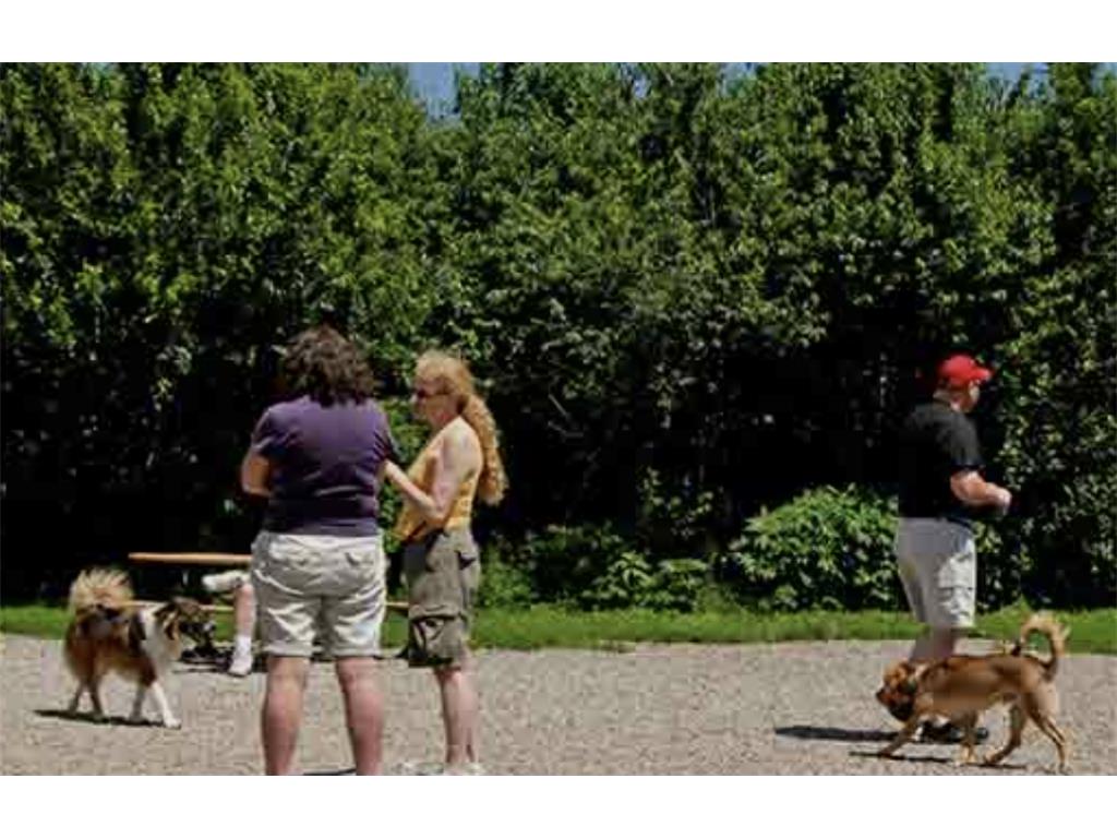 6565 Cherokee Trail W Eden Prairie MN 55344 7043868 image32