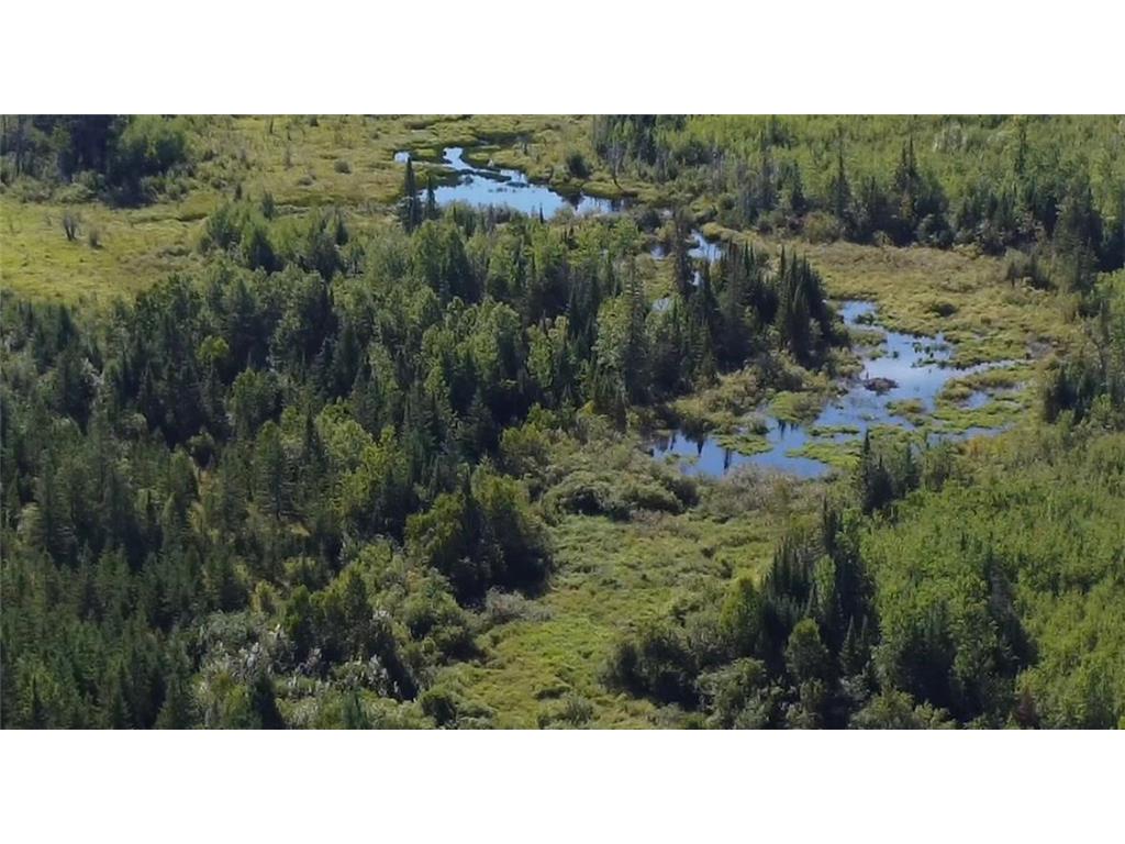 6566 County Road 77 Littlefork MN 56653 6782482 image8
