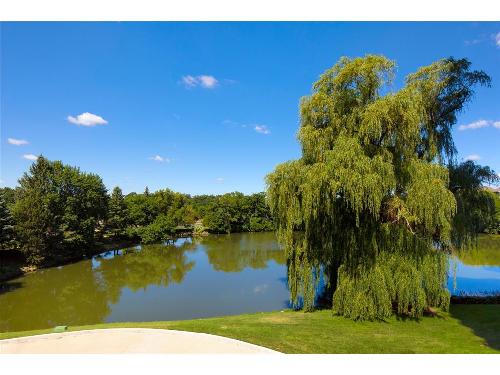 6566 France Avenue S 201, Edina, MN, 55435 MLS 6440144 Edina Realty