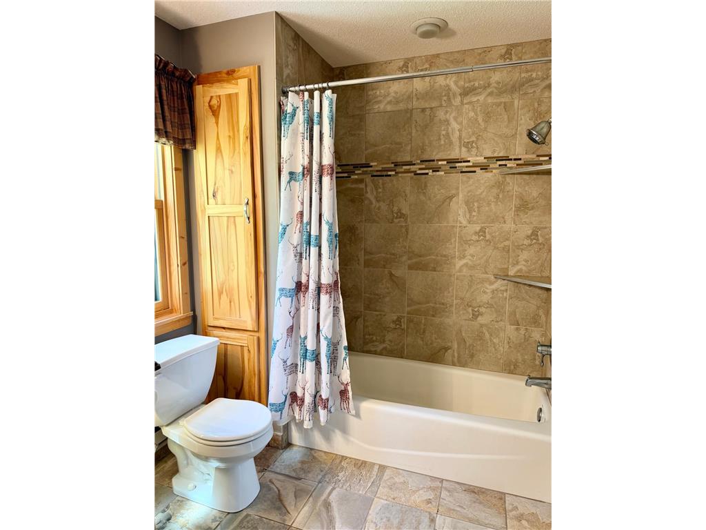 6570 Bobcat Trail NW Cass Lake MN 56633 - Steamboat 7076417 image36