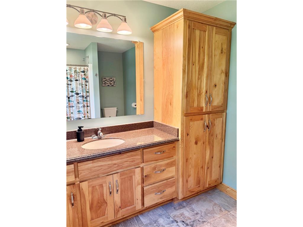 6570 Bobcat Trail NW Cass Lake MN 56633 - Steamboat 7076417 image58