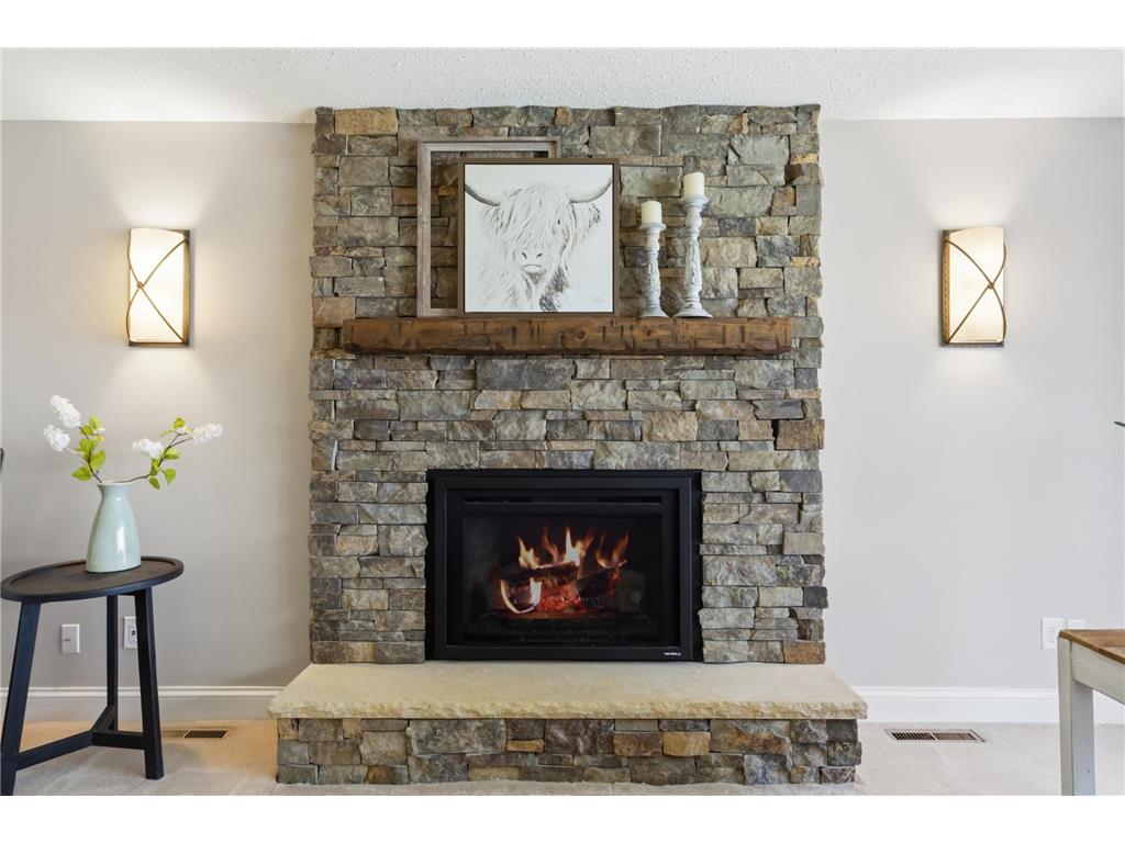 6570 Rustic Road SE Prior Lake MN 55372 - Lower Prior 7012657 image16