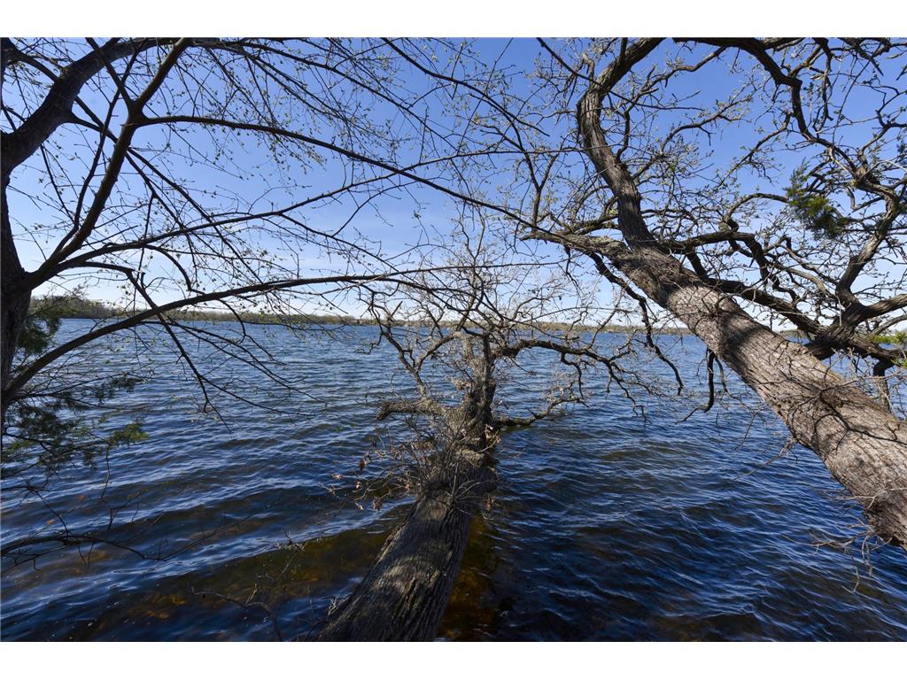 65734 211th Street Ellsworth Twp MN 55324 - Manuella 7075941 image13