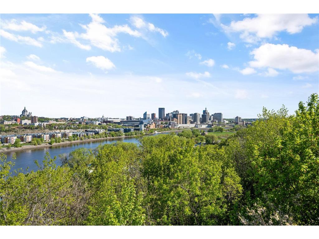 658 Smith Avenue S Saint Paul MN 55107 7062740 image41