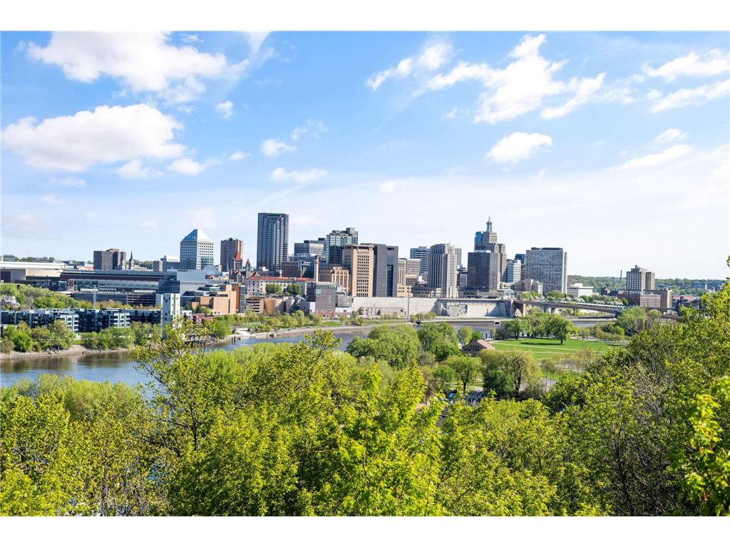 658 Smith Avenue S Saint Paul MN 55107 7062740 image42
