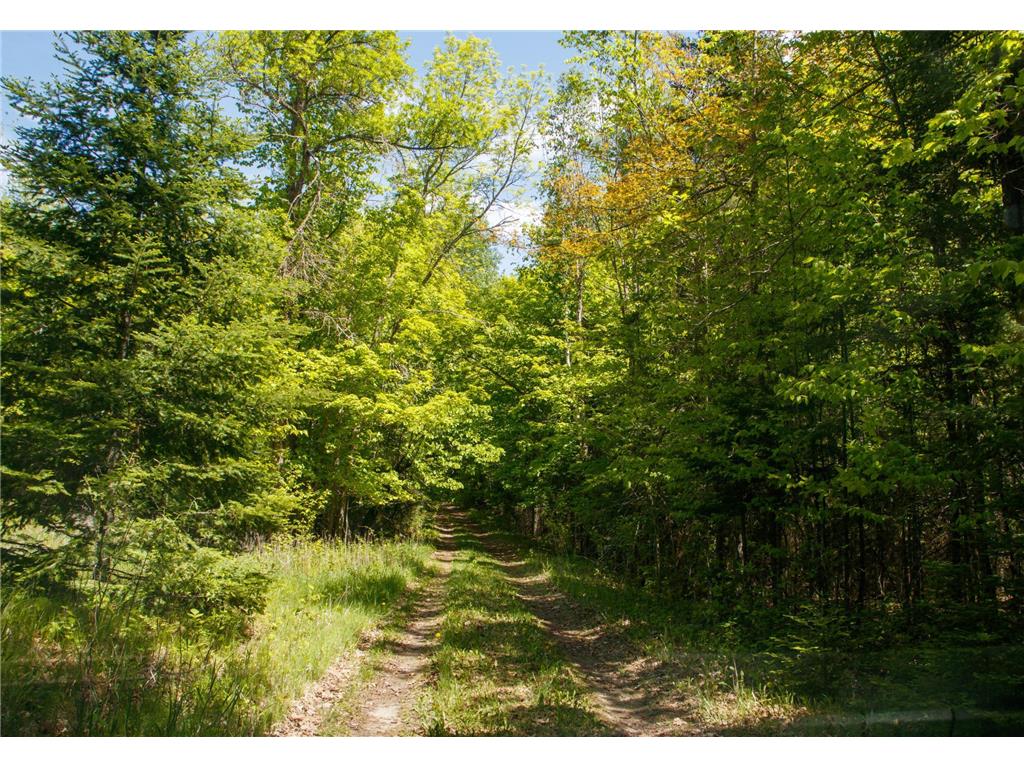 6583 Graves Lake Drive NE Slater Twp MN 56672 - Grave 6728417 image10