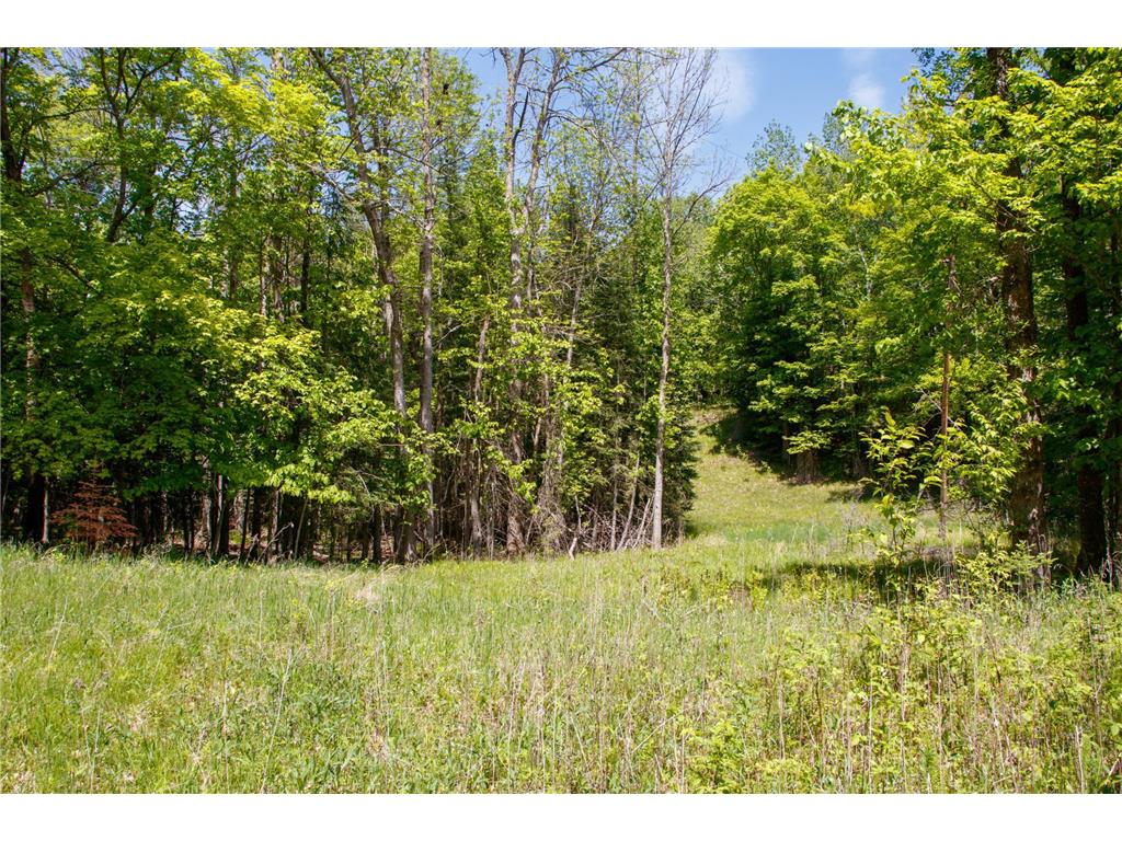 6583 Graves Lake Drive NE Slater Twp MN 56672 - Grave 6728417 image11