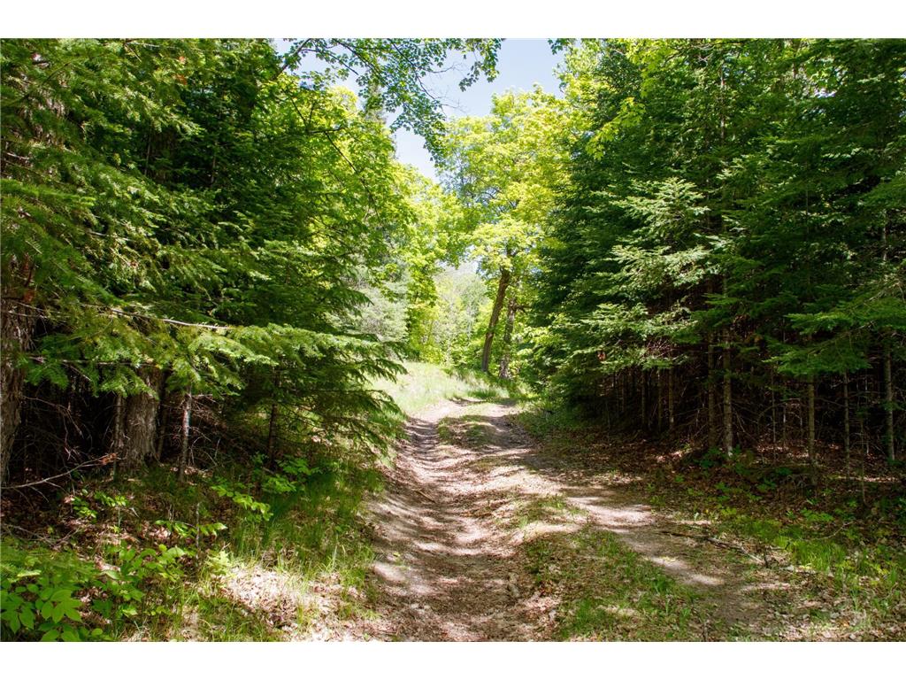 6583 Graves Lake Drive NE Slater Twp MN 56672 - Grave 6728417 image9