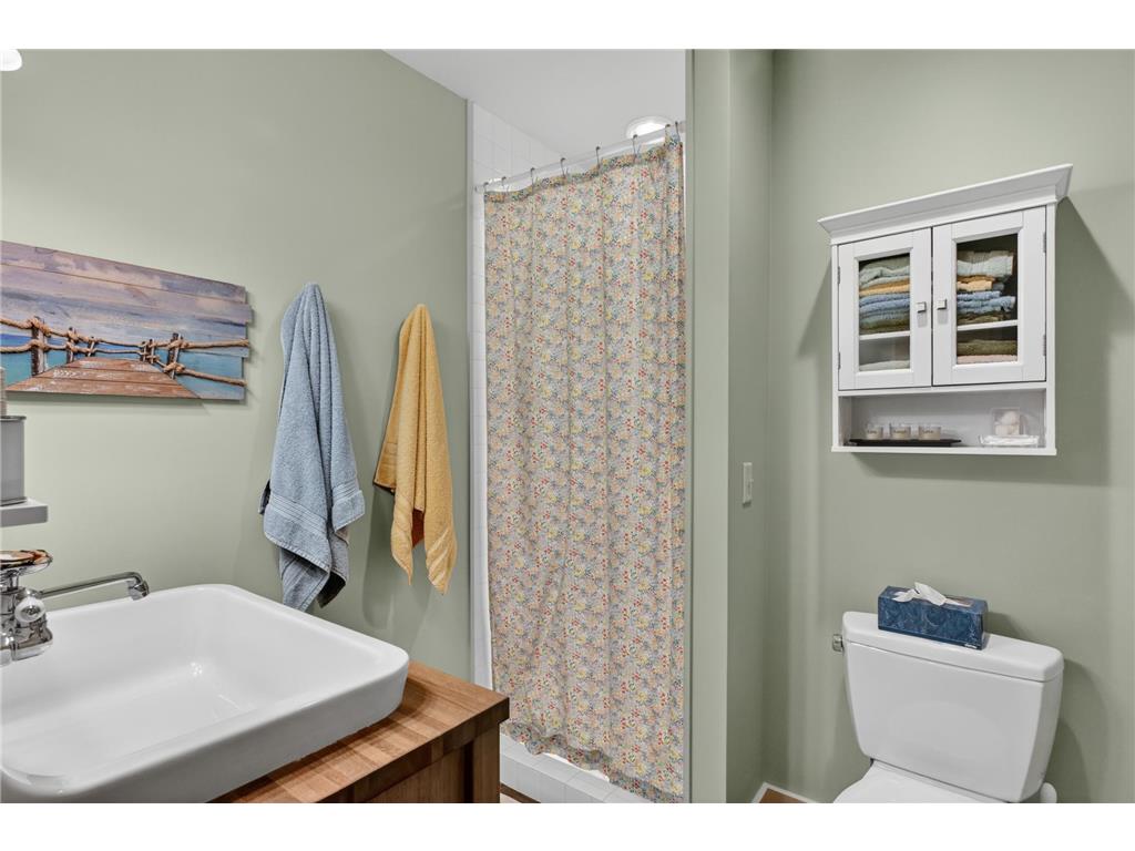 6587 Stardust Lane NE Alexandria MN 56308 - Carlos 7088098 image100