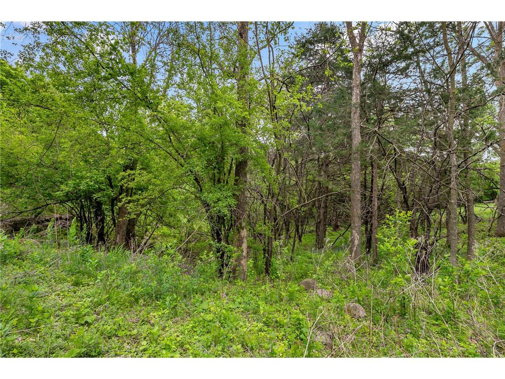 6591 Galpin Boulevard Chanhassen MN 55331 6724077 image19