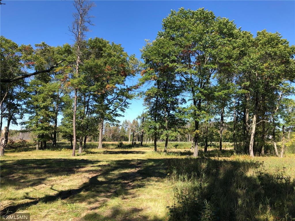 6595 Pine Beach Road Baxter MN 56401 6070840 image1