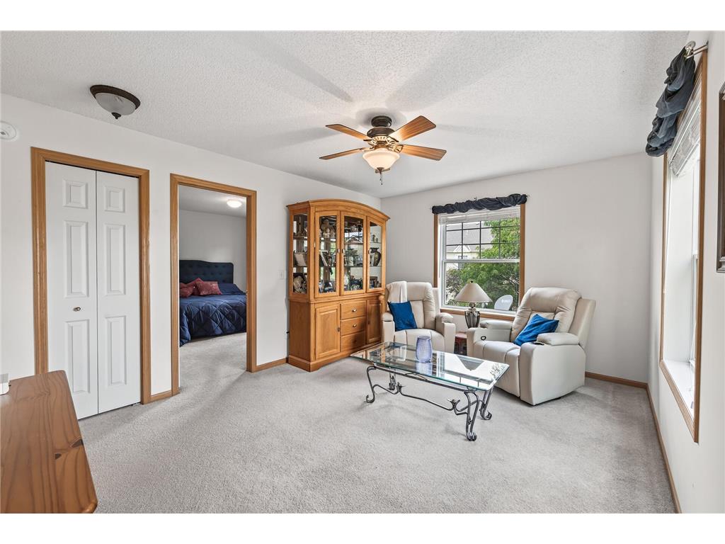 6597 Linwood Drive NE Albertville MN 55301 - School Lake 7064725 image13