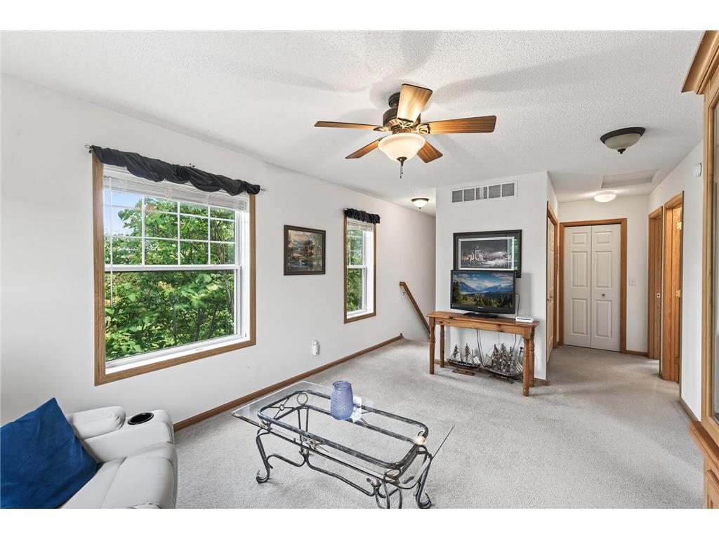 6597 Linwood Drive NE Albertville MN 55301 - School Lake 7064725 image14