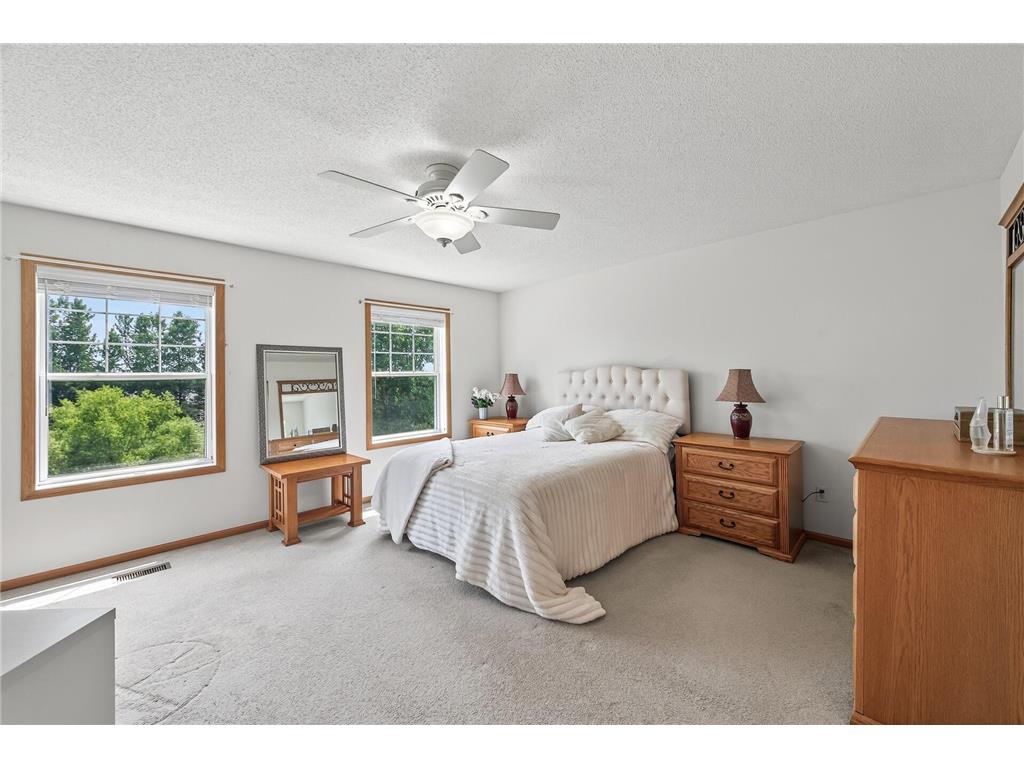 6597 Linwood Drive NE Albertville MN 55301 - School Lake 7064725 image15