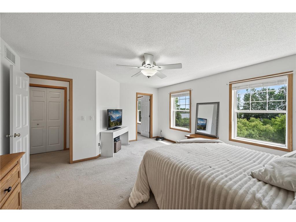 6597 Linwood Drive NE Albertville MN 55301 - School Lake 7064725 image16