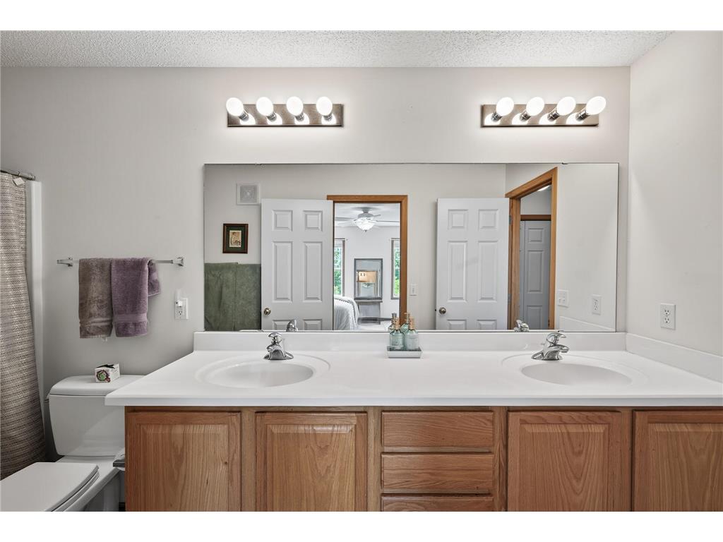 6597 Linwood Drive NE Albertville MN 55301 - School Lake 7064725 image19