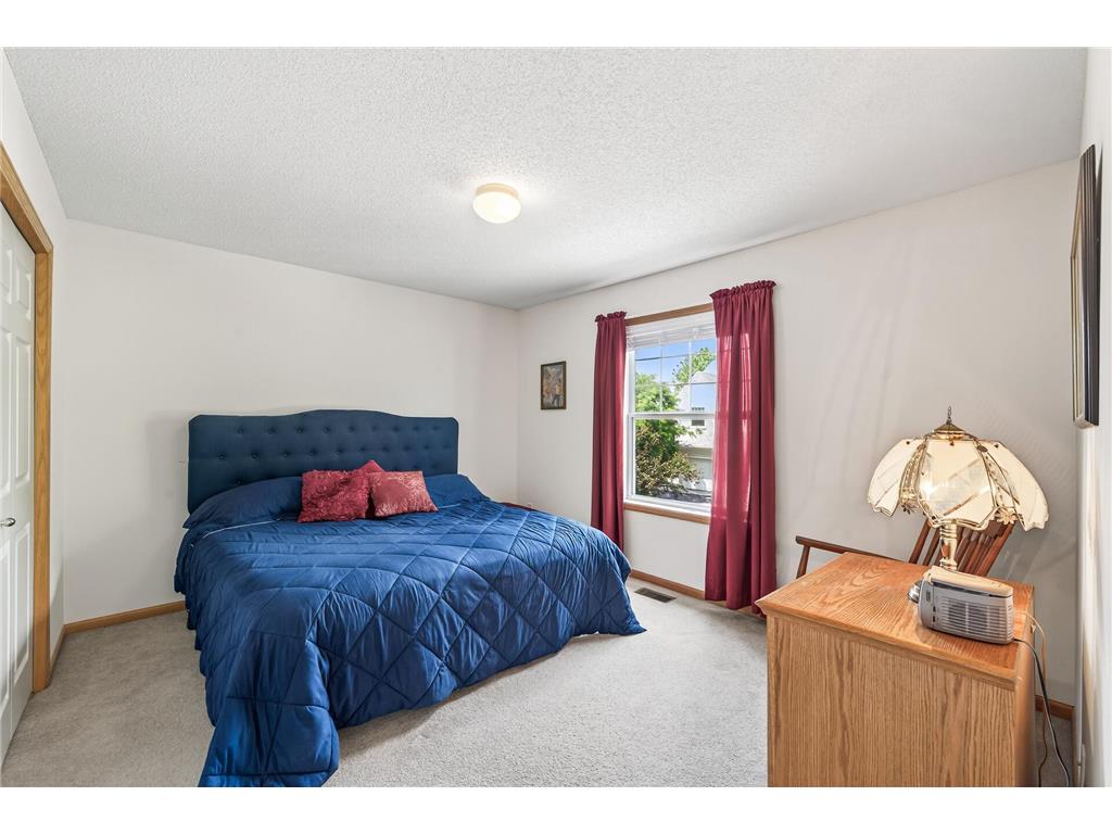 6597 Linwood Drive NE Albertville MN 55301 - School Lake 7064725 image21