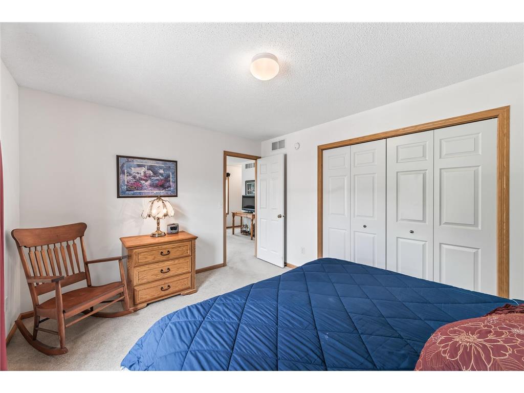 6597 Linwood Drive NE Albertville MN 55301 - School Lake 7064725 image22