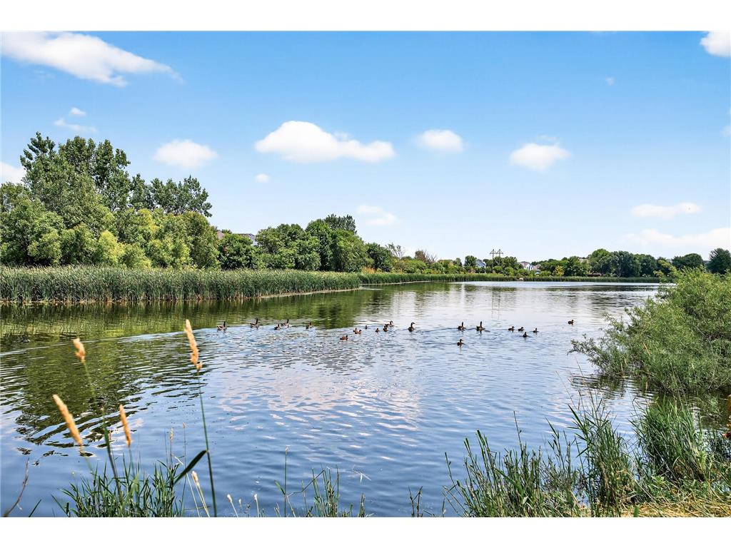 6597 Linwood Drive NE Albertville MN 55301 - School Lake 7064725 image27