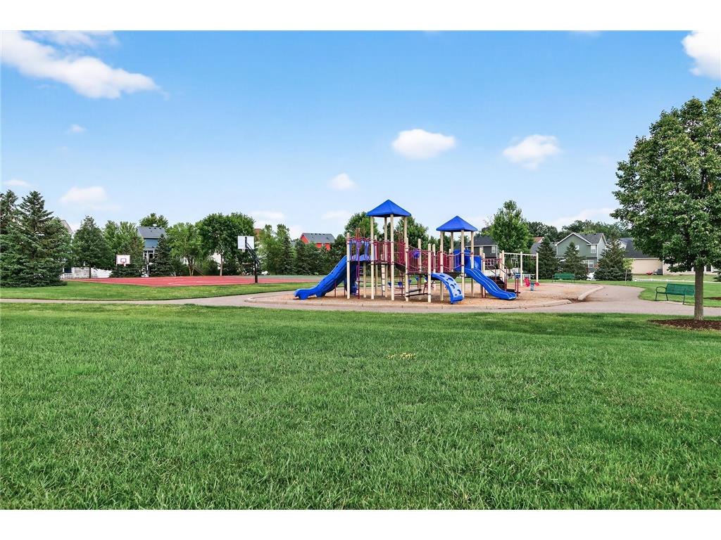 6597 Linwood Drive NE Albertville MN 55301 - School Lake 7064725 image28