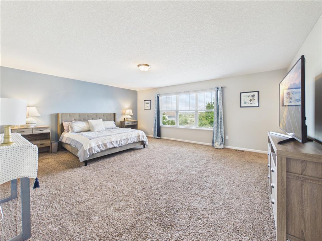 6598 Jeffery Avenue S Cottage Grove MN 55016 7100809 image26