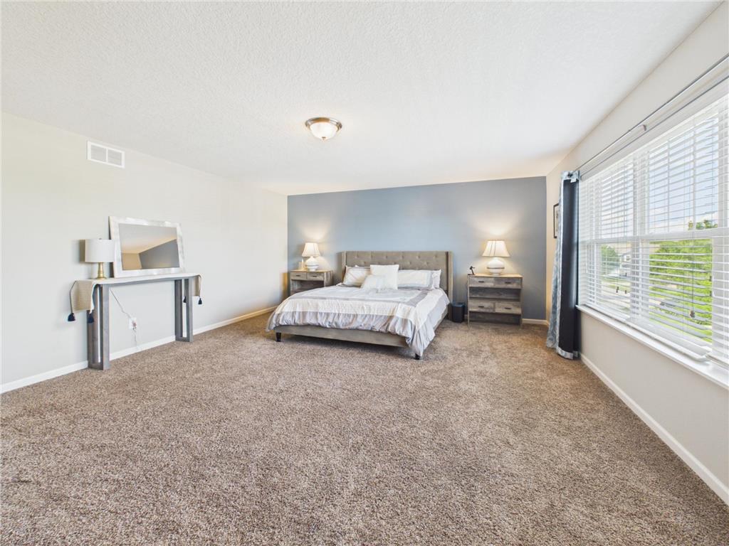 6598 Jeffery Avenue S Cottage Grove MN 55016 7100809 image27