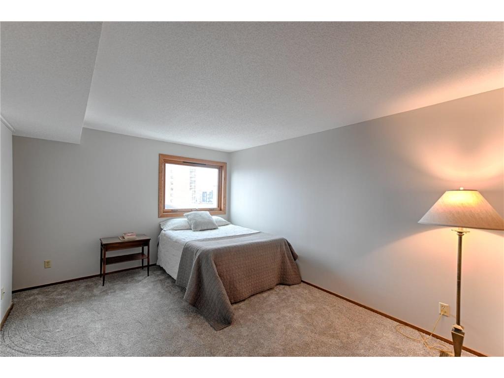 66 9th Street E #1210 Saint Paul MN 55101 6823329 image19