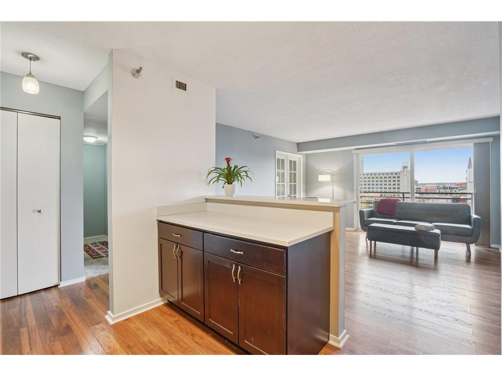 66 9th Street E #1307 Saint Paul MN 55101 7035997 image8