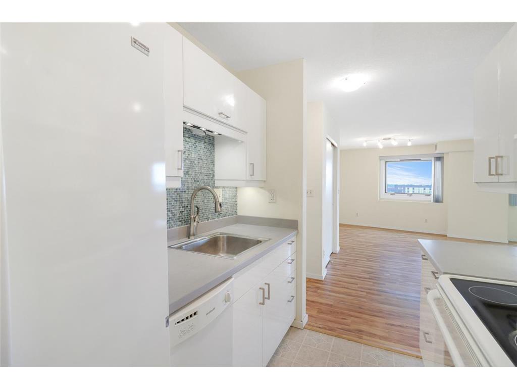 66 9th Street E #1315 Saint Paul MN 55101 6820634 image9