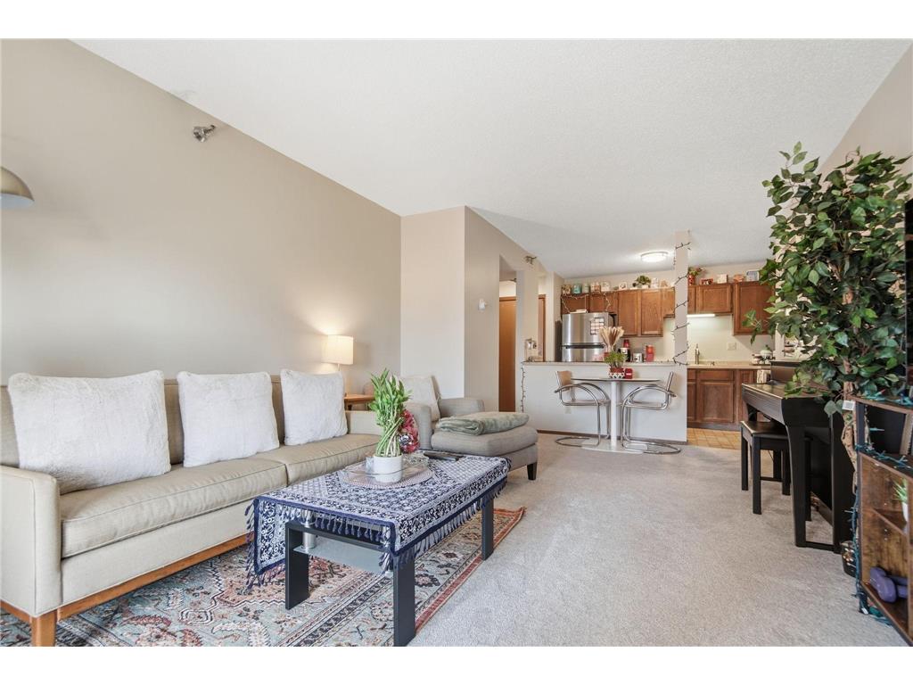 66 9th Street E #1510 Saint Paul MN 55101 7045484 image15