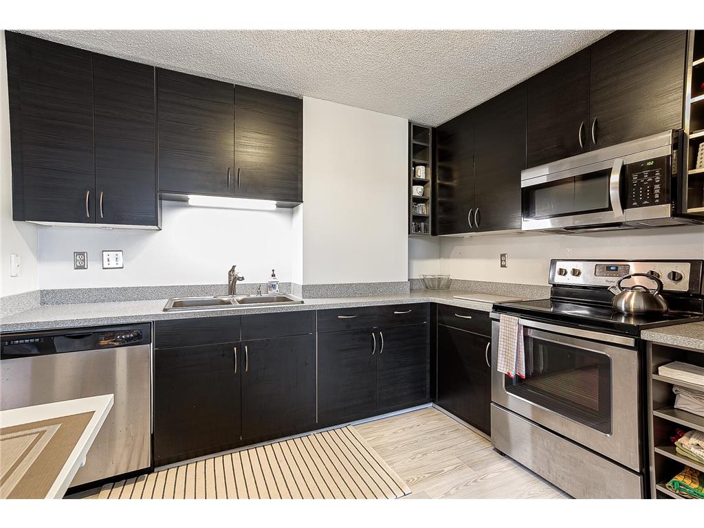 66 9th Street E #1709 Saint Paul MN 55101 6443875 image1