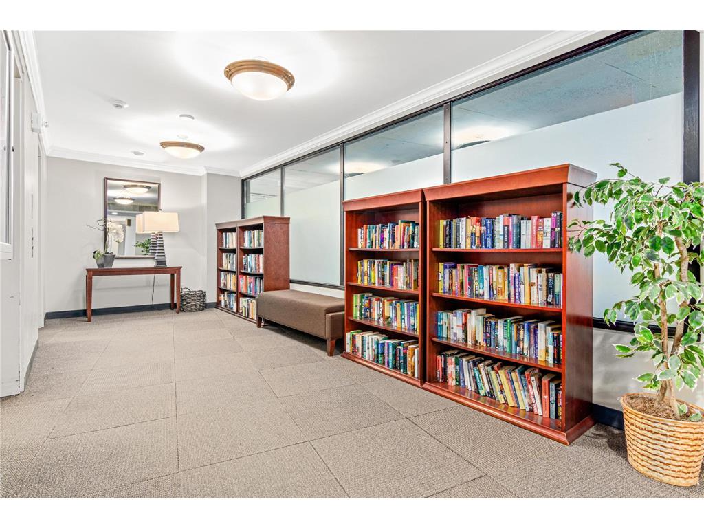 66 9th Street E #1910 Saint Paul MN 55101 7033285 image28