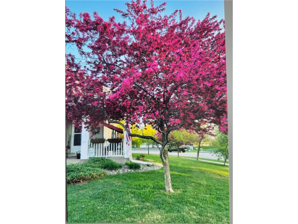 66 Meadowlark Drive Hudson WI 54016 7036672 image1