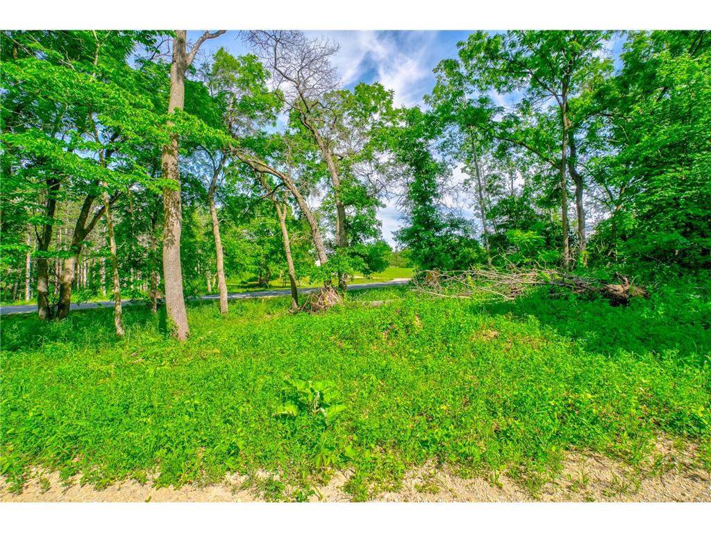 660 100th Street Roberts WI 54023 7088651 image11