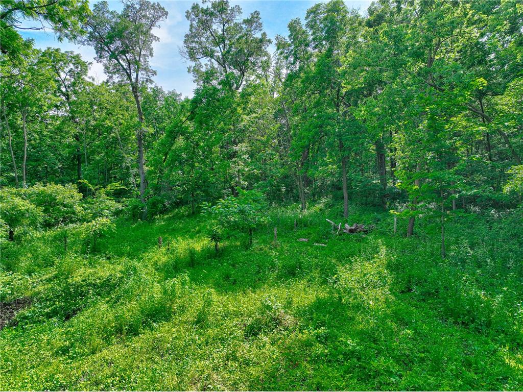 660 100th Street Roberts WI 54023 7088651 image5